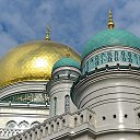 ���� Ramil, ������, 39 ��� - ��������� 30 ���� 2016 � ������ ������� �������