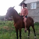 ���� Edward, �������������, 42 ���� - ��������� 1 ���� 2016 � ������ ���� ����������