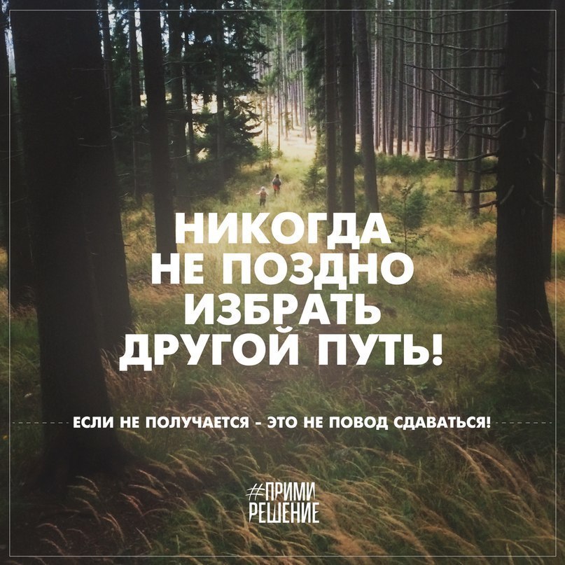  -   - 11  2016  06:11