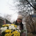 ���� �����, �����������, 38 ��� - ��������� 26 ����� 2016 � ������ ���� ����������