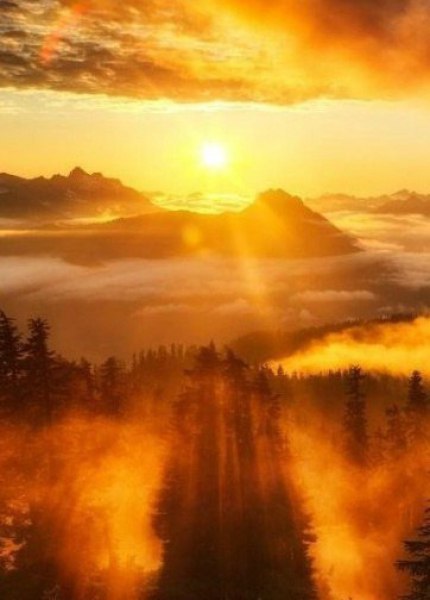 Подставляйте солнышку ладошки, собирайте лучики в карман, а затем, с любовью, понемножку, раздавайте ... - 2