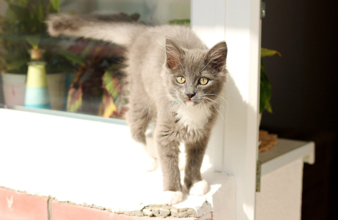 Черная туча закрыла солнце. Совсем т. Совсем т. Совсем т. Смешные картинки про усталость на работе.