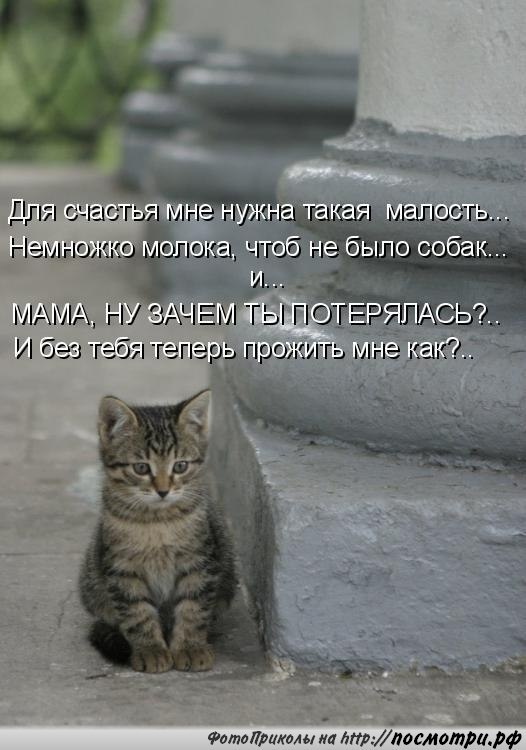       - 23  2016  10:07