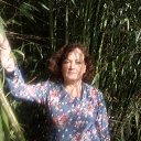  Antonina, , 59  -  13  2016    