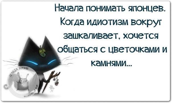   - 16  2016  12:41
