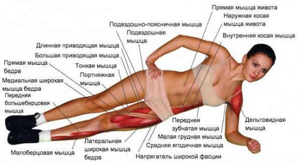 Вот что будет, если делать планку каждый день.Планка — это упражнение на все времена. Она не зависит ... - 3