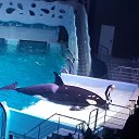 ���� ����, ������, 56 ��� - ��������� 20 ������� 2016 � ������ �����