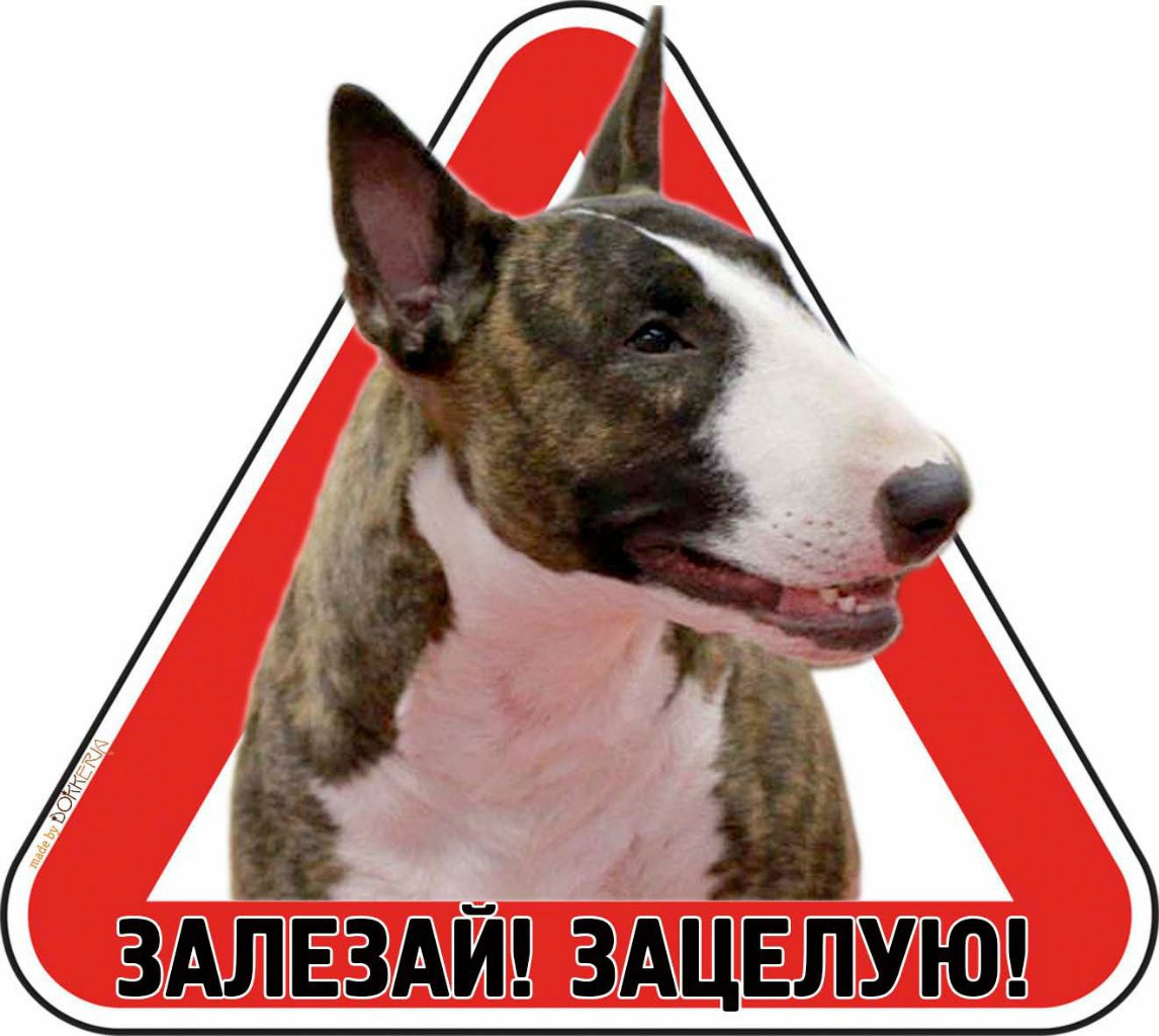 Дорогие друзья! Представляем