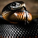 ���� #//Lv//#, ��������� - ��������� 13 ��� 2016 � ������ ������ ��������