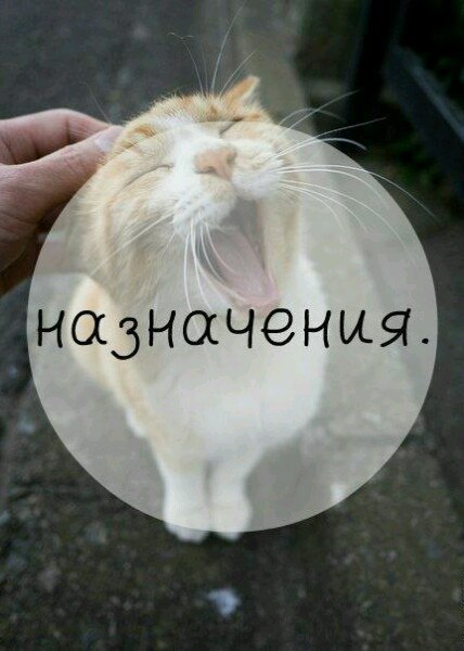  ) - 6