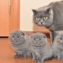 ���� ������, ���������, 45 ��� - ��������� 6 �������� 2016 � ������ ������ ��������