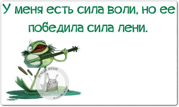   - 21  2016  13:46