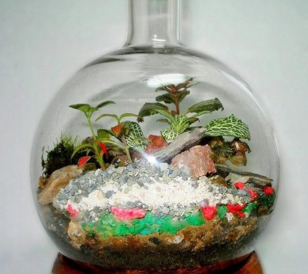 -:    .         ... - 3