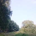 ���� Olga, ���� - ��������� 16 ���� 2016 � ������ ������ ������