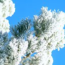 ���� ������, �������, 53 ���� - ��������� 27 ����� 2016 � ������ ������ ��������