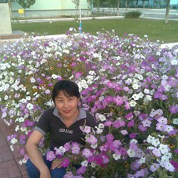 ���� Nika, ��������� - ��������� 16 ��� 2016