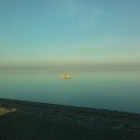  , , 35  -  12  2016   Iraq February 2016