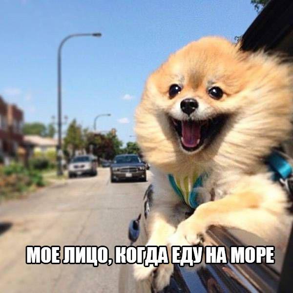    :D - 1  2016  13:03