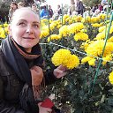 ���� �������, ���������, 58 ��� - ��������� 13 ������ 2016 � ������ ���� ����������