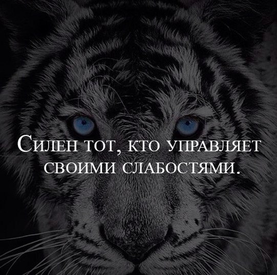 ���� - 4 ������� 2016 � 19:20