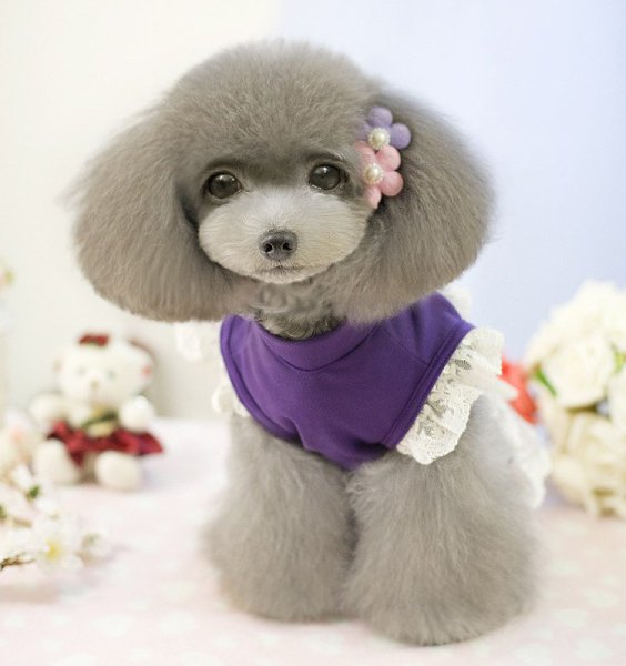    - 30  2016  11:08 - 2