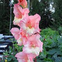 ���� Viktor, ������, 61 ��� - ��������� 23 ���� 2016 � ������ ���� ����������