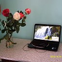 ���� ������, ����� - ��������� 26 ���� 2016 � ������ ���� ����������