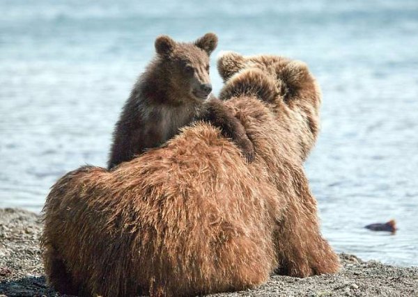      .#animal@travel.blog - 9