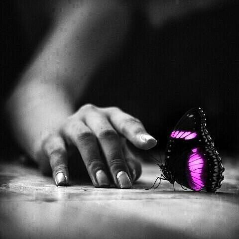 .     ,  ,  ...    () ...  ...