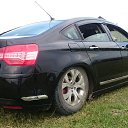 ���� ���, �����-���������, 45 ��� - ��������� 13 ���� 2016 � ������ ���� ����������