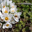 ���� ������, �������� - ��������� 5 ������ 2016 � ������ ���� ����������