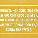 ���� ������, ������ - ��������� 15 ���� 2016 � ������ �������
