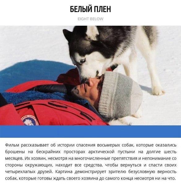 ... 10    ,    - 6