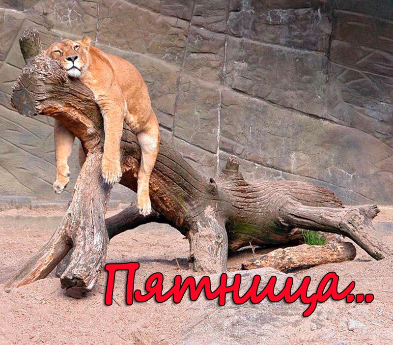 , !)....