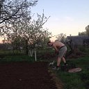 ���� ������, �����, 46 ��� - ��������� 11 ��� 2016 � ������ ���� ����������