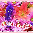 ���� Ira, ����, 64 ���� - ��������� 5 ���� 2016 � ������ �������� ��������
