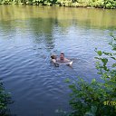 ���� �����, �������, 58 ��� - ��������� 18 ���� 2016 � ������ ���� ����������