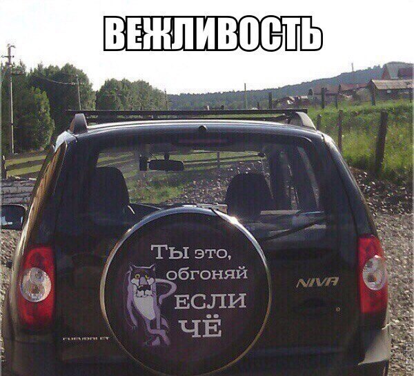    - 8  2016  03:44