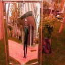 ���� �����, ������, 73 ���� - ��������� 23 ��� 2016 � ������ ���� ����������