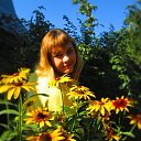 ���� ����, �������, 36 ��� - ��������� 8 �������� 2016 � ������ ���� ����������