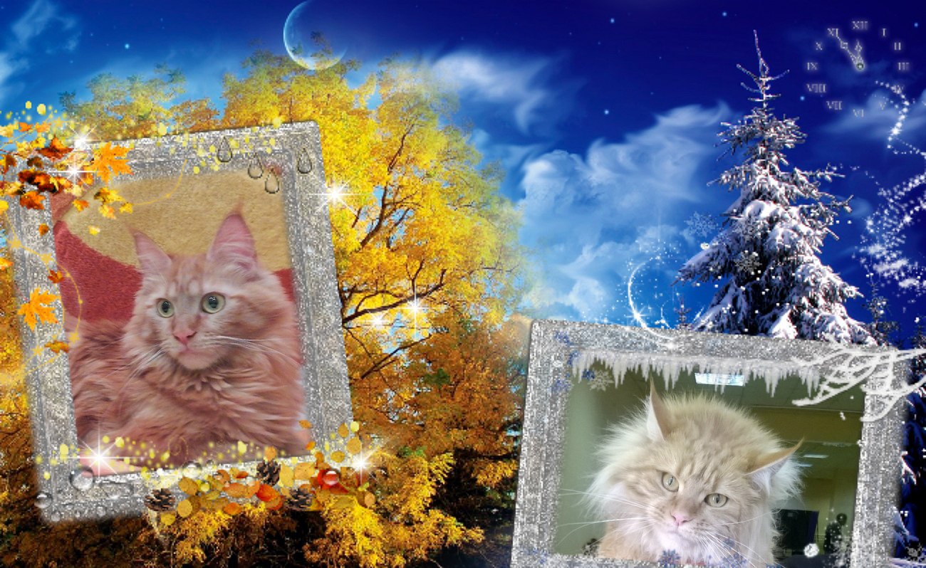 .. https://fotostrana.ru/away?to=/sl/YaB# #_    ... - 22