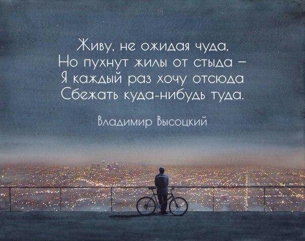   - 21  2016  10:19