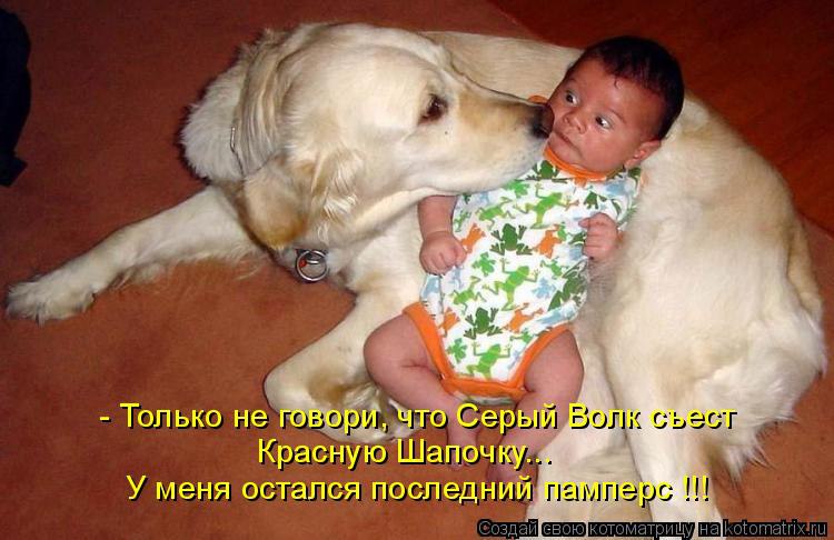  ,    !!!!!  ,   ,    ... - 2