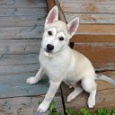 ���� �����, ������ - ��������� 15 ������� 2016 � ������ ���� ����������