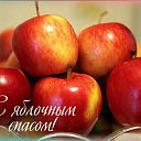 ���� ����, ��������, 63 ���� - ��������� 19 ������� 2016 � ������ �������� ��������