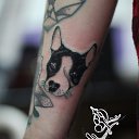 ���� ����))) �� ������� ���� �������