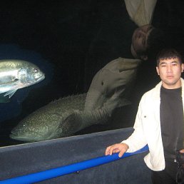 Kairat83, �������, 44 ����