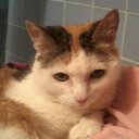 ����� 13 ���. ��� �������� ������� � �����. �� ������� ���� �������