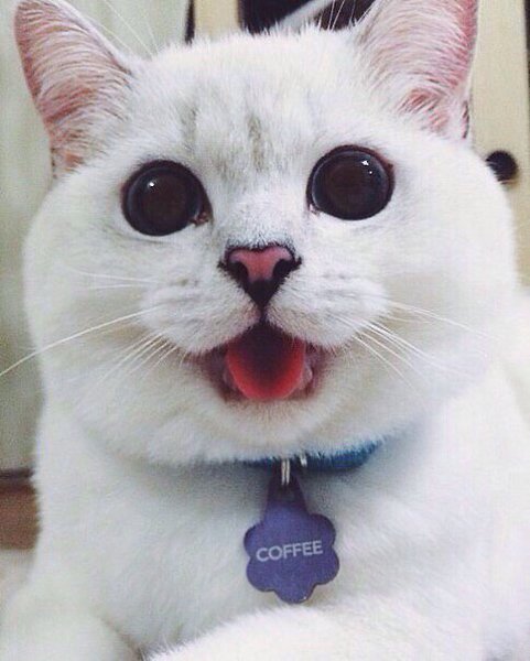       - 31  2016  11:35 - 2