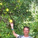 ���� Concilliano, �������, 57 ��� - ��������� 18 ��� 2016 � ������ ���� ����������